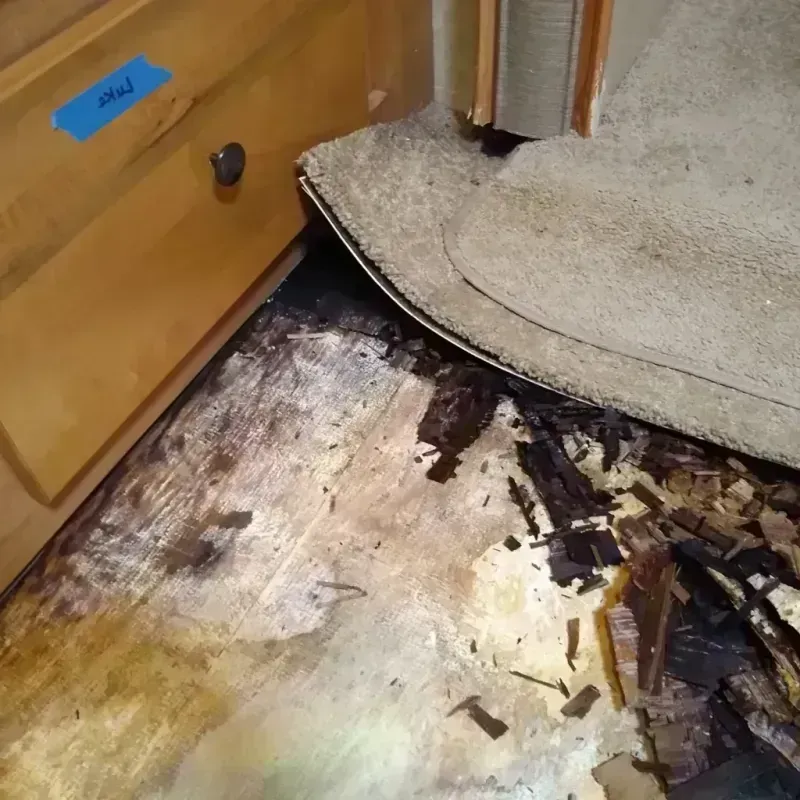 Wood Floor Water Damage in Cheyenne County, CO